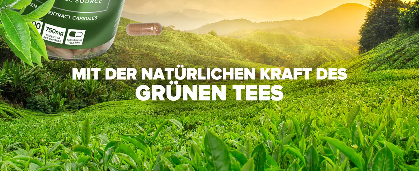 Green Tea Kapszula IronMaxx®